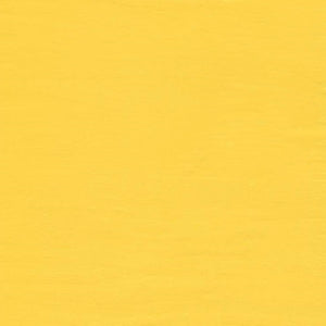 Canary Yellow Paint