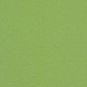 Canvas Ginkgo