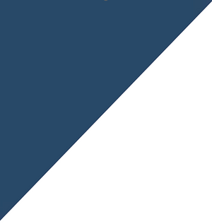 Navy Blue with White Trim