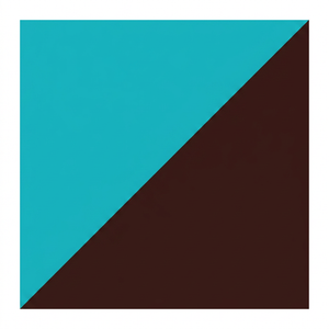 Aruba Blue on Tudor Brown