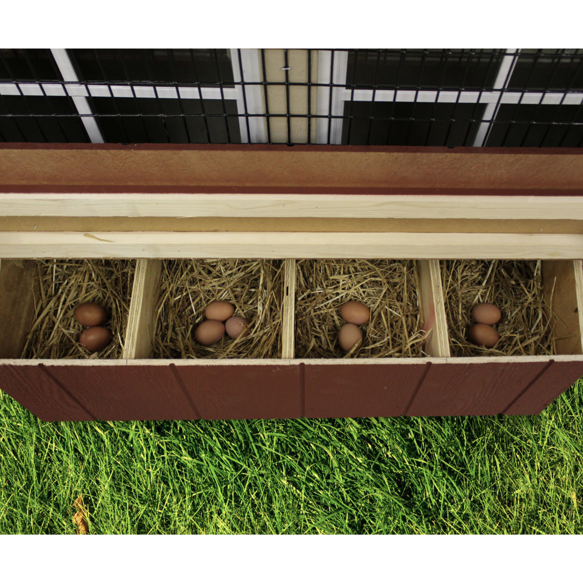 Walnut Creek Sheds DIY Chicken Coop Kit