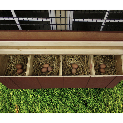 Walnut Creek Sheds DIY Chicken Coop Kit