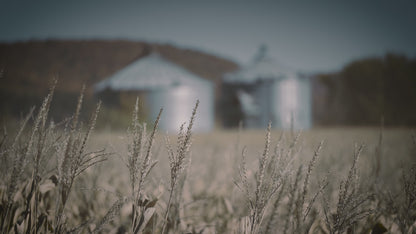 Amish Casual brand video