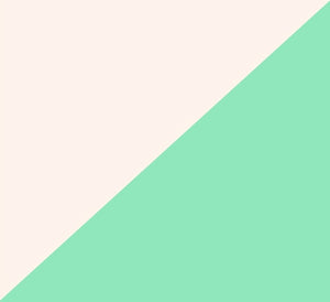 Seashell on Seafoam