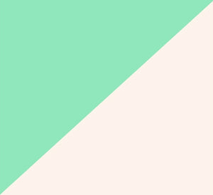 Seafoam on Seashell
